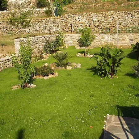 Vakantiehuis Il Gelsomino