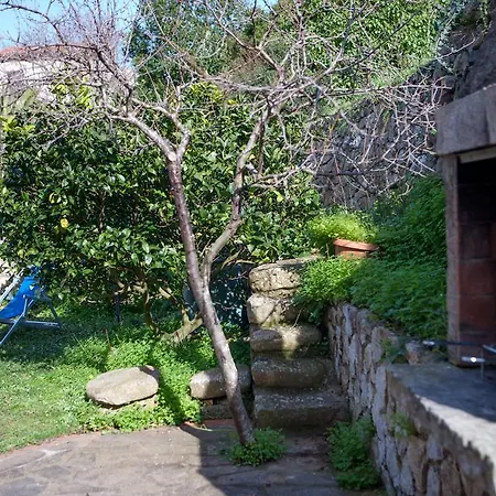 Il Gelsomino Marciana Marina (Isola d'Elba)